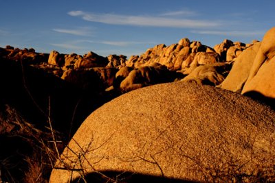 :: Joshua Tree National Park ::
