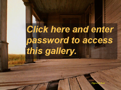 limited_access_gallery