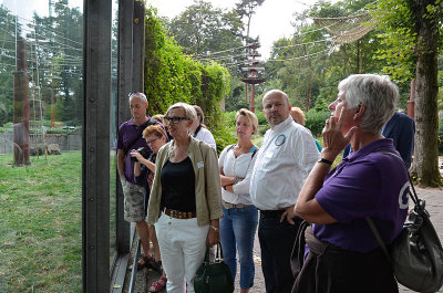 049_vgoocd2012.jpg