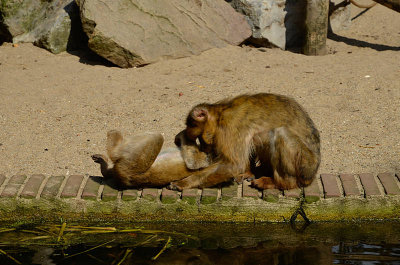 054_vgoocd2012.jpg