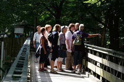 080_vgoocd2012.jpg