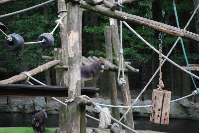 090_vgoocd2012.jpg