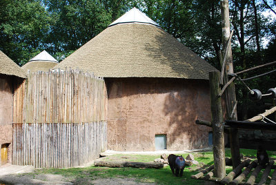 091_vgoocd2012.jpg