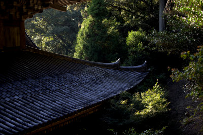 kyoto