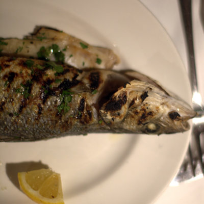 grilled sea bass, Malta