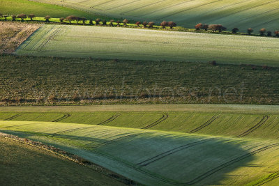 Shadow Manoeuvres