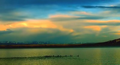 Lake Traffic II by Norbert