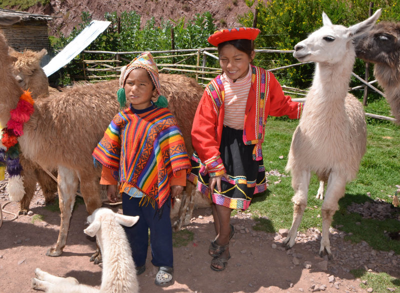 Nios Valle Sagrado Cusco