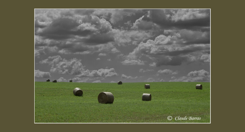 Hay bales