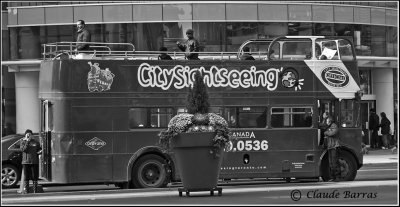 Sightseen bus