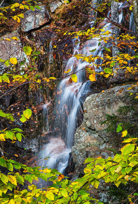 Acadia Carriage Road Waterfall