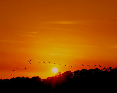 16. Sunset Flight