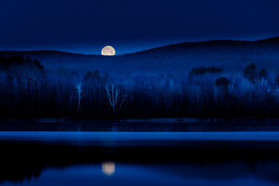 Moody Blues by Michael Bufis. 1A