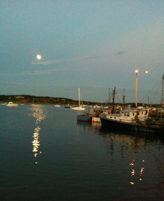 42. Old Cape Cod