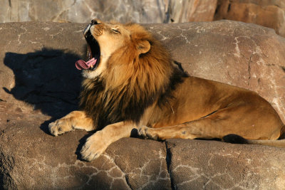 Sedgwick County Zoo Wichita 03 MU.jpg