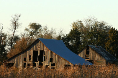 Abandoned Barns MU.jpg
