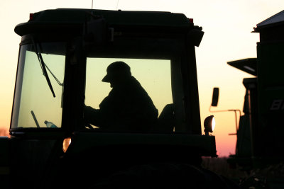 Harvesting at Dusk MU.jpg