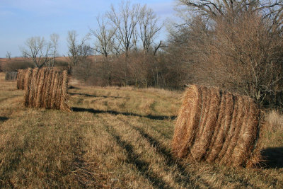 Hay Bales MU.jpg