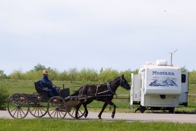 Mennonite Farmer MU.jpg