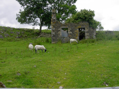 2003 Scotland Lismore NW.jpg