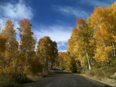 Autumn in Park City, Utah DK.jpg