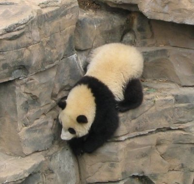Washington Zoo DPW.JPG