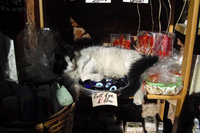 Istanbul Stephie's Store Cat with Evil Eyes SdV.jpg