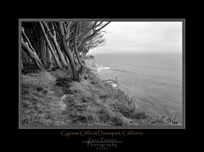 Cypress Cliffs (B&W version)