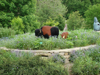 buffalo and calf lego.jpg