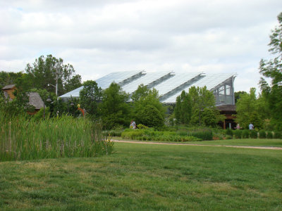 butterfly pavillion and cattails.jpg