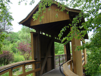 covered bridge though.jpg