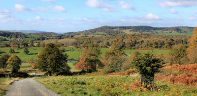 Eastnor Castle Estate, Herefordshire.