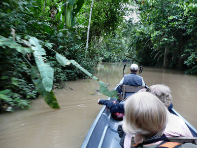 A day out birding.