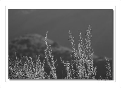 The Beauty On And Beyond The Edge B&W