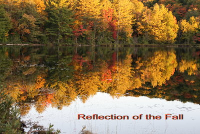 Reflection of the Fall_2009-09-25 Fall 2 157.jpg
