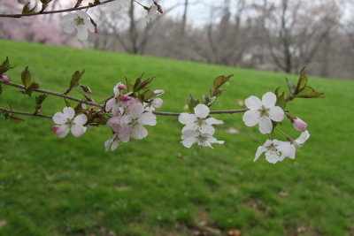 IMG_9628A_resize.jpg