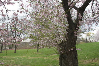 IMG_9672_resize.JPG