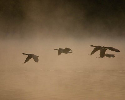 CRW_1408.jpg