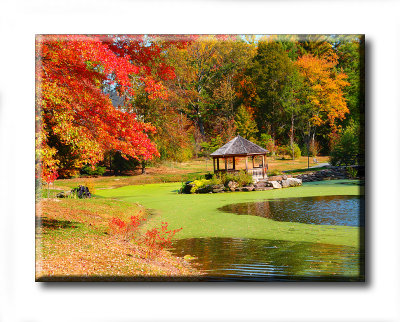 Colors (11).JPG