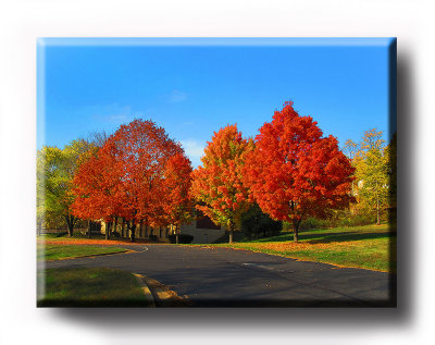 Colors (12).JPG