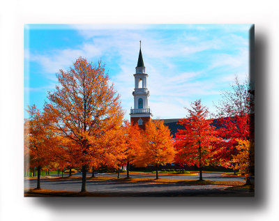 Colors (15).JPG