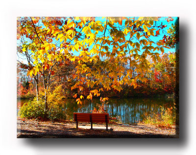 Colors (17).JPG