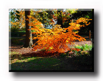 Colors (20).JPG