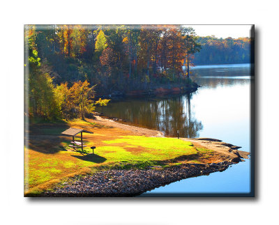 Leaves NC (11).JPG