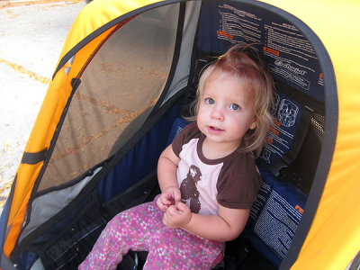 Annie has a front-row seat in the bike trailer (?)