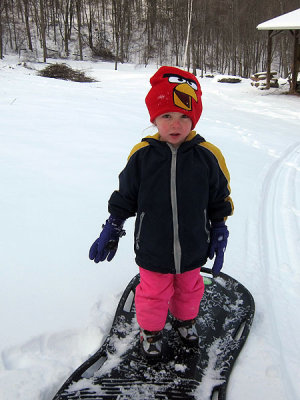 Snow-surfer