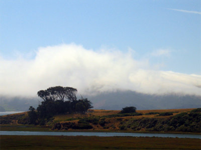 Fog over Tomales Bay