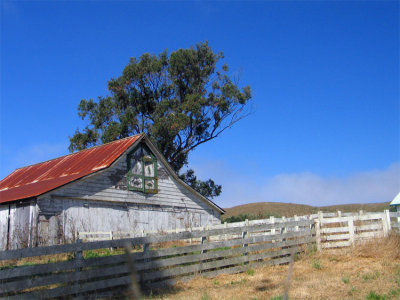 Old barn near Bodega