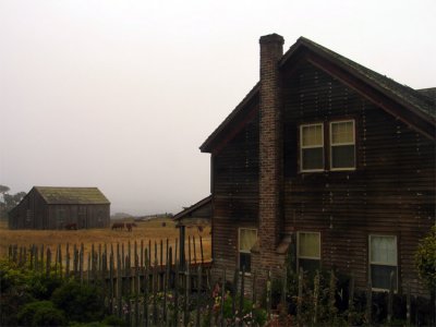 Old House at Stewart's Point
