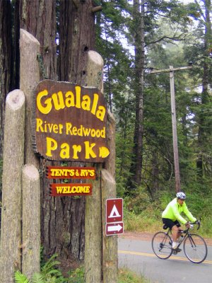 Gualala campground